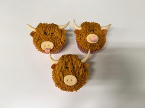 sip & decorate highland cow class