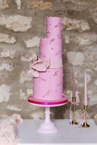 Set it to Luxury Wedding Cake Edinburgh - Sculptural Pink and White Design - Crumbdidilyumptious wedding cake gallery fife